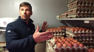 S5 ● E5 Where to put 20 tons of eggs [upl. by Girovard]