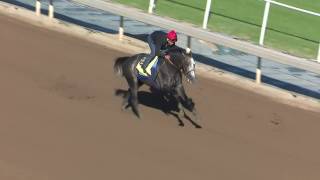 Arrogate Headlines 2017 San Pasqual Stakes [upl. by Eiramanad406]