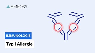 Soforttypreaktion Typ I Allergie  Biochemie  AMBOSS Video [upl. by Hgielar32]