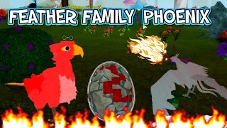 ROBLOX FEATHER FAMILY PHOENIX ALL ABOUT THE PHOENIX NEW [upl. by Iborian]