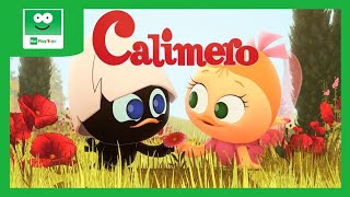 Calimero 🐣  Stagione 1  Episodi 2  Cartoni Animati  I bignè di Priscilla  Rai Yoyo [upl. by Wheaton]