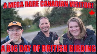 A MEGA RARE CANADIAN VISITOR A big day British birding [upl. by Seilenna320]