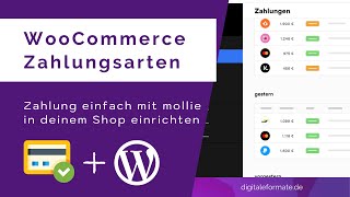 WooCommerce Zahlungsarten einrichten  Mollie Tutorial 💳 [upl. by Ellak]