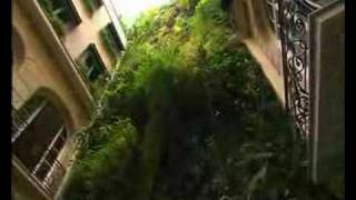 Patrick Blanc Vertical Garden interview in Paris [upl. by Solis136]