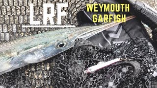 LRF  Weymouth Garfish [upl. by Yruj]