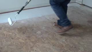 DYI easy Pet stains and odor in floors gone in one easy step with link to product in description [upl. by Oiram]