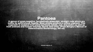 Medical vocabulary What does Pantoea mean [upl. by Sidnal]