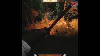 Kingdom Come Deliverance  Bandits Get Wiped Out By Night Arrows [upl. by Ieso]