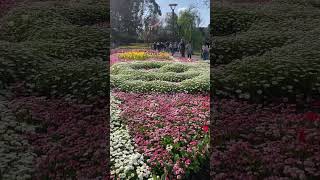 Floriade 11 [upl. by Yretsym132]