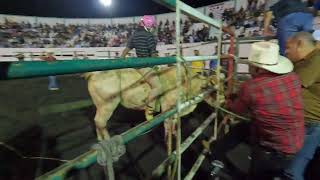 Montas de Rancho 300 y los Titanes de Gustavo Ayón [upl. by Bortman]