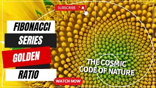 Fibonacci Sequence Golden Ratio and the Cosmic Code of Nature  Learn And Explore Facts fibonacci [upl. by Arezzini]