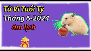 Tử vi tuổi Tý tháng 62024 âm lịchtốt hay xấu [upl. by Amarette]