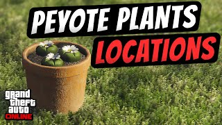 GTA Online Peyote Plant Locations Map Guide  ALL PEYOTE LOCATIONS Level Up RP Fast [upl. by Htebizile728]