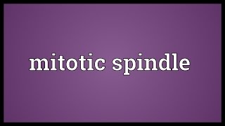 Mitotic spindle Meaning [upl. by Schiffman186]