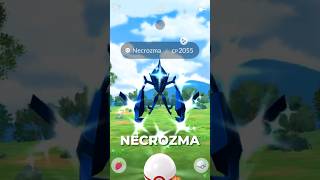 Top Counters for NECROZMA [upl. by Ecerahc]