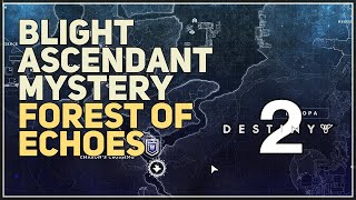 Blight Ascendant Mystery Forest of Echoes Destiny 2 [upl. by Leuams]