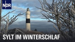 Sylt im Winter  Auszeit vom Saisontrubel  Nordseereport  NDR Doku [upl. by Horvitz155]