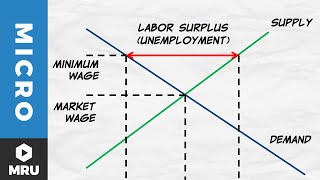 Price Floors The Minimum Wage [upl. by Anemix423]