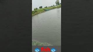 CARAZI Fish catch 🎣 🎣 Amazing fish🎣। Shorts 😀 big fish 🐟🐠🤤 [upl. by Etnod]