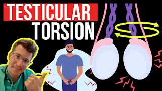 Doctor explains TESTICULAR TORSION twisting of the testicle  Symptoms causes and surgery [upl. by Neehs]