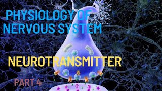 Physiology 2  Excitatory and inhibitory neurotransmitter in Amharic [upl. by Sussna]