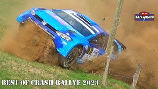 BEST OF RALLY 2023  Big Crash Action amp Fails  HDrallycrash [upl. by Darbee]