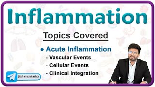 Acute Inflammation Vascular and Cellular events with Clinical integration 💥  Pathology Lecture 3 [upl. by Jed]