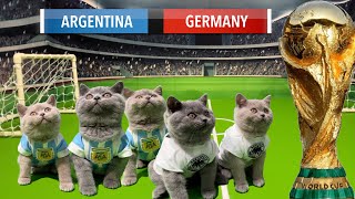 LETS UNLEASH CATS KITTENS WORLD CUP GAME 3 [upl. by Haduhey]