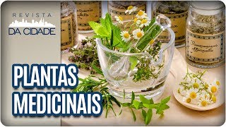 Plantas que ajudam a combater problemas de pele  Revista da Cidade 06092017 [upl. by Anirahs]