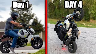 I Learned How To WHEELIE in 4 Days [upl. by Dulcine]