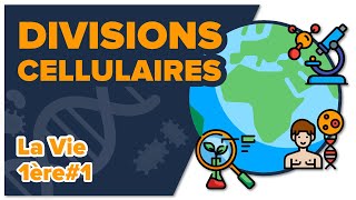 Les divisions cellulaires des eucaryotes SVT  LA VIE 1ère spé 1  Mathrix [upl. by Stewart55]