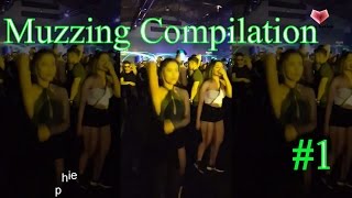 Muzzing Compilation 1 [upl. by Friend]