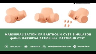 OG026 หุ่นฝึกผ่าฝีต่อมบาร์โธลิน Bartholin Cyst [upl. by Lash496]