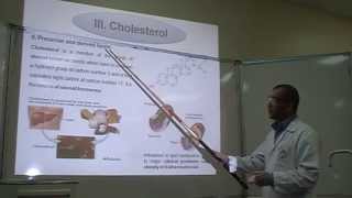 Salkowskis test Part 1 Identification of Cholesterol [upl. by Dnomad]