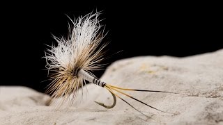 Tying the Moose May Fly  Dry Fly [upl. by Madaih700]