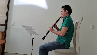 Weber clarinet concerto 1 mov 1 [upl. by Chan]