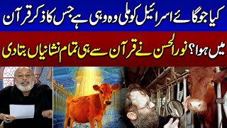 Red Heifer The Sign Of Red Heifer Cow According To Quran  IsraelPelastine  Ramzan Ka Samaa [upl. by Atiuqcir]