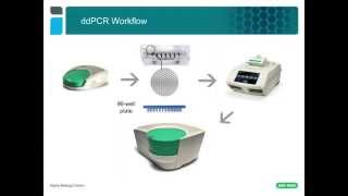 Droplet Digital™ PCR Tips amp Tricks ddPCR™ Assay Design [upl. by Eirehc]