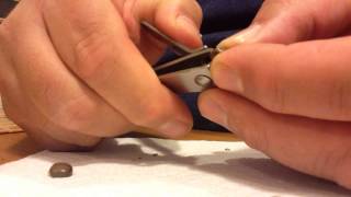 Jatropha seed scarification using toenail clippers [upl. by Ade]