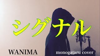 【フル歌詞付き】 シグナル  WANIMA monogataru cover [upl. by Emelun]