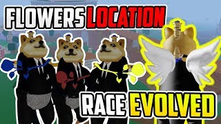 🌸 ALL FLOWERS LOCATION amp V2 RACE EVOLUTION IN BLOX PIECE [upl. by Annahaj]