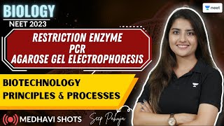 Restriction Enzyme  PCR  Biotechnology Principles amp Processes  Medhavi Shots  Seep Pahuja [upl. by Niassuh]