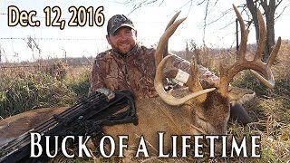 186quot Buck at 7 Yards  Rut Action  Midwest Whitetail [upl. by Leor]