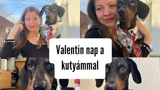 Valentin nap a kutyámmal 💕 merlinkalandok [upl. by Ientruoc]