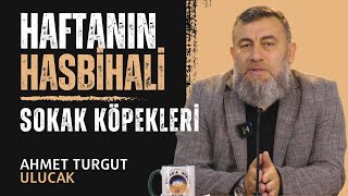 HAFTANIN HASBİHALİ  SOKAKKÖPEKLERİ  AHMET TURGUT ULUCAK [upl. by Arodaeht518]