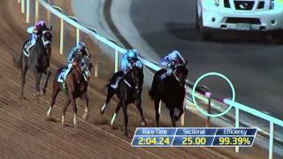 California Chrome Analysis  Racing TV [upl. by Afton879]