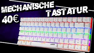 Was kann diese Mechanische Gaming Tastatur für 40€  Ajazz Ak33 Mechanische Gaming Tastatur Review [upl. by Lledniw]