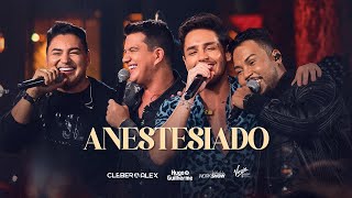 Anestesiado  Cleber e Alex  part Hugo e Guilherme Ao Vivo em Goiânia [upl. by Crystie232]