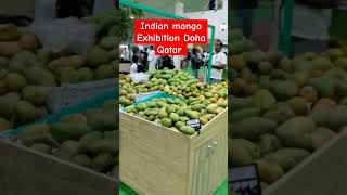 Indian Mango Exhibition Doha Qatar india indianmango doha qatar foodlover mangolovers shorts [upl. by Chaker]