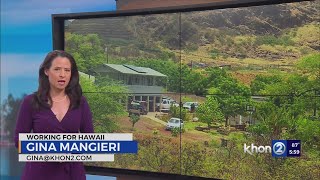 Dispute between neighbors leaves 4 people dead 2 critically hurt in Waianae Valley [upl. by Nerro]